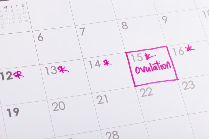 Fotografia di un calendario con calcolati i giorni fertili