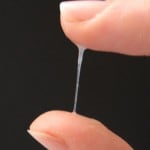 Muco cervicale tra le dita Immagine del muco cervicale fertile, che si allunga se preso tra pollice e indice.