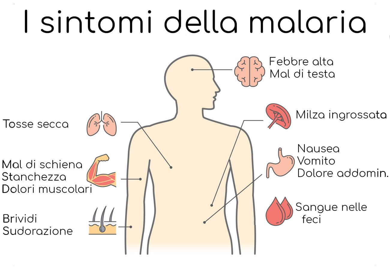 I più comuni sintomi di malaria