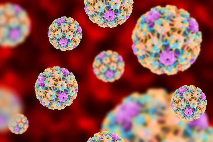 Ricostruzione grafica del papilloma virus