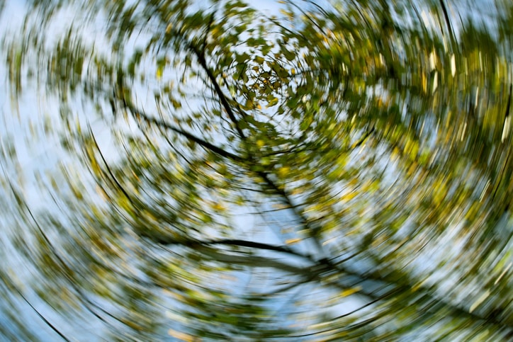 Fotografia con effetto ottico di rotazione delle chiome degli alberi, a dare la percezione di vertigini.