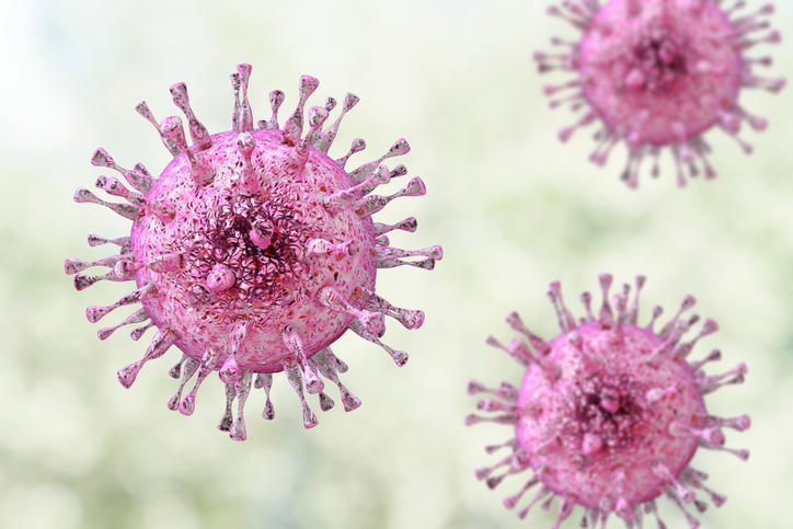 Ricostruzione grafica del citomegalovirus