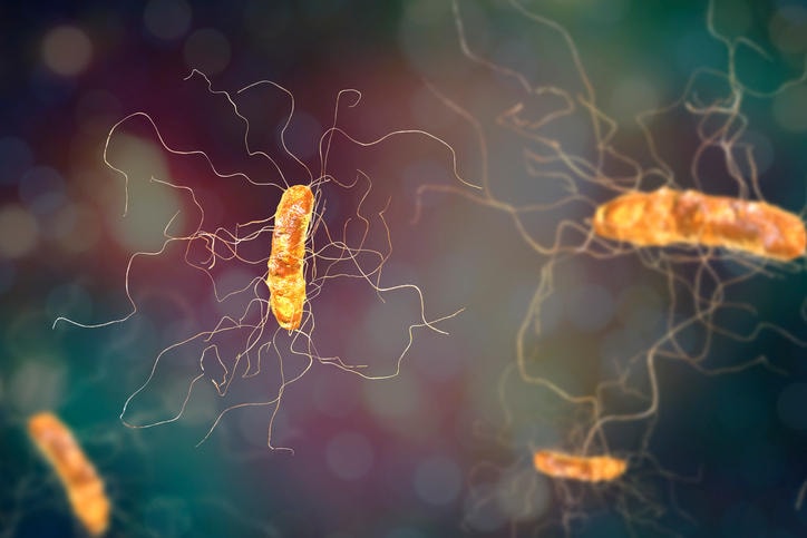 Clostridium Difficile