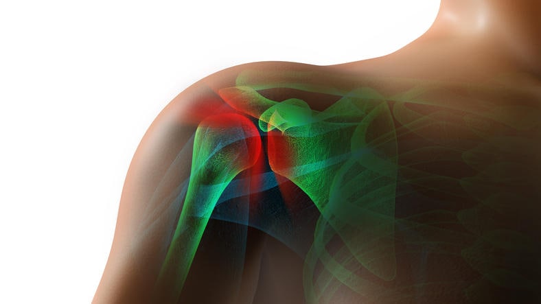 Ricostruzione grafica dell'articolazione della spalla
