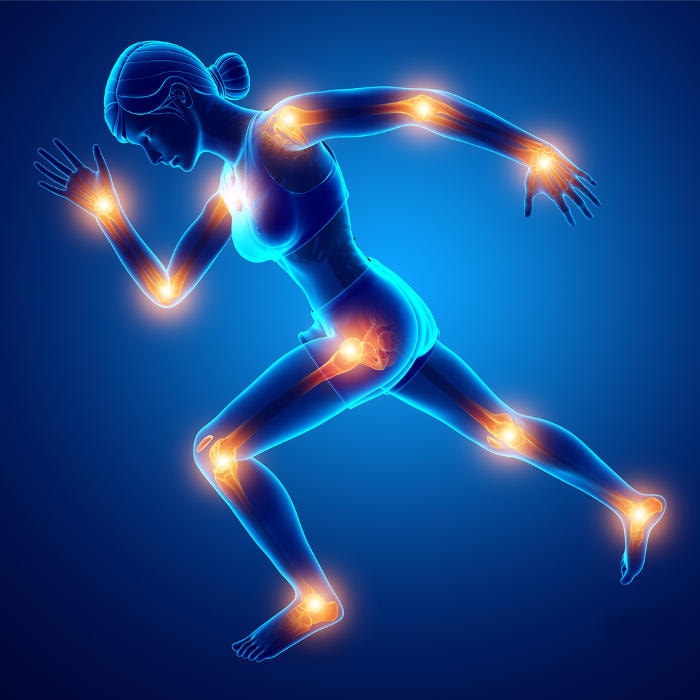Ricostruzione grafica del corpo femminile con in evidenza le principali articolazioni