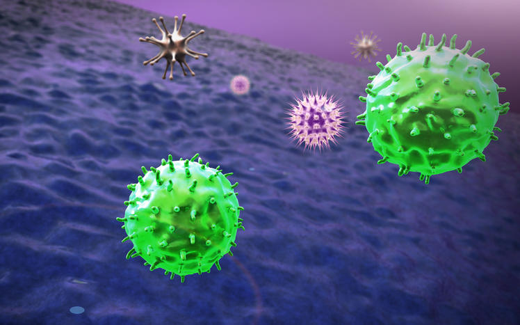 Rappresentazione grafica delle cellule del sistema immunitario in azione