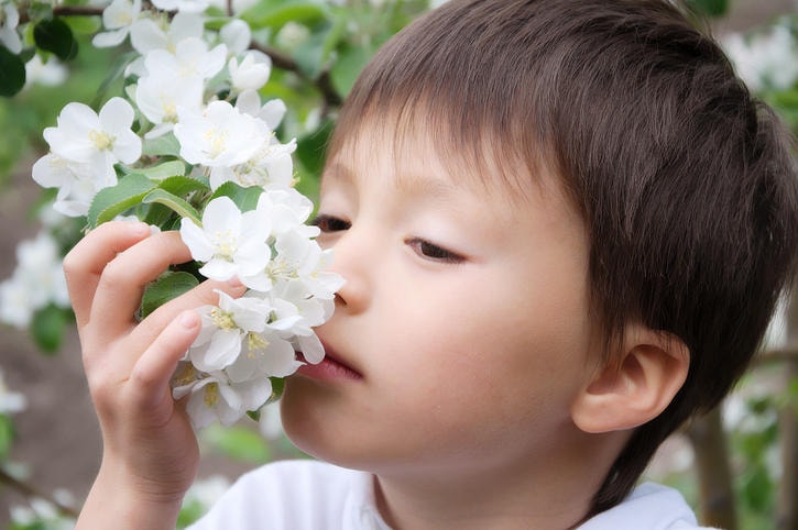 Bambino che annusa un fiore
