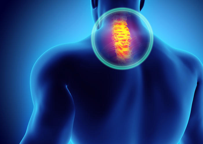 Ricostruzione grafica dell'anatomia delle vertebre cervicali.
