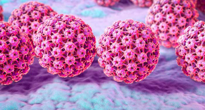 Ricostruzione grafica e colorata della struttura tridimensionale del virus HPV