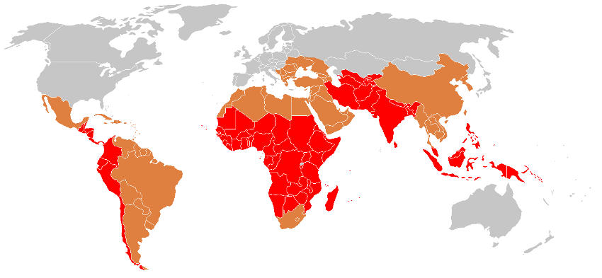 Cartina geografica con diffusione nel mondo della febbre tifoide