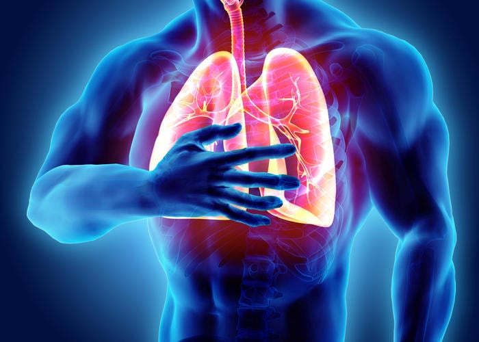 Ricostruzione grafica dei polmoni, evidenziati rispetto al resto del corpo