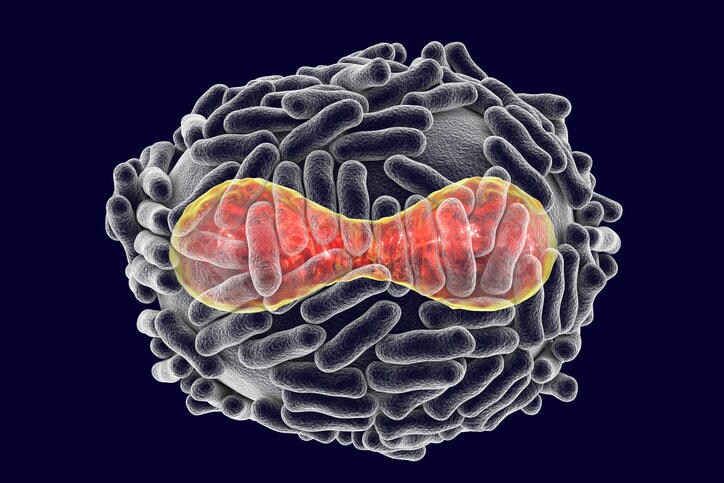 Ricostruzione grafica del virus del vaiolo