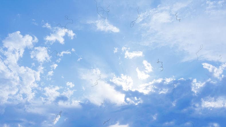 Simulazione di come si vedono le mosche volanti guardando il cielo