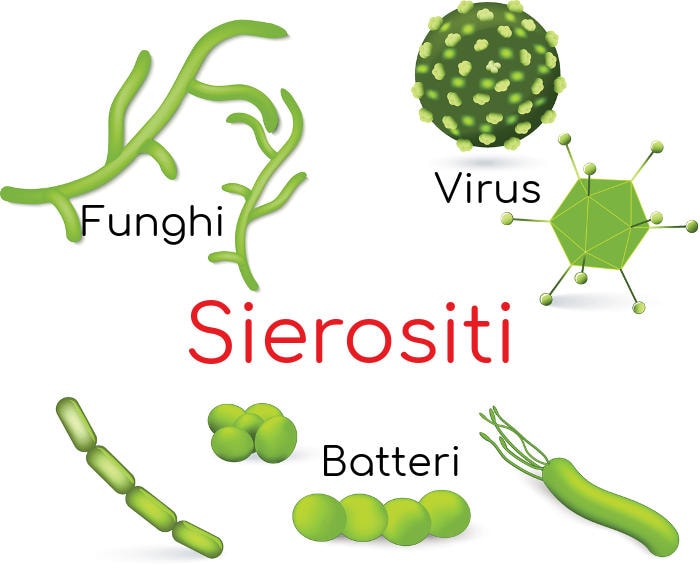 Tra le cause delle sierositi di tipo infettivo ci sono batteri, funghi e virus