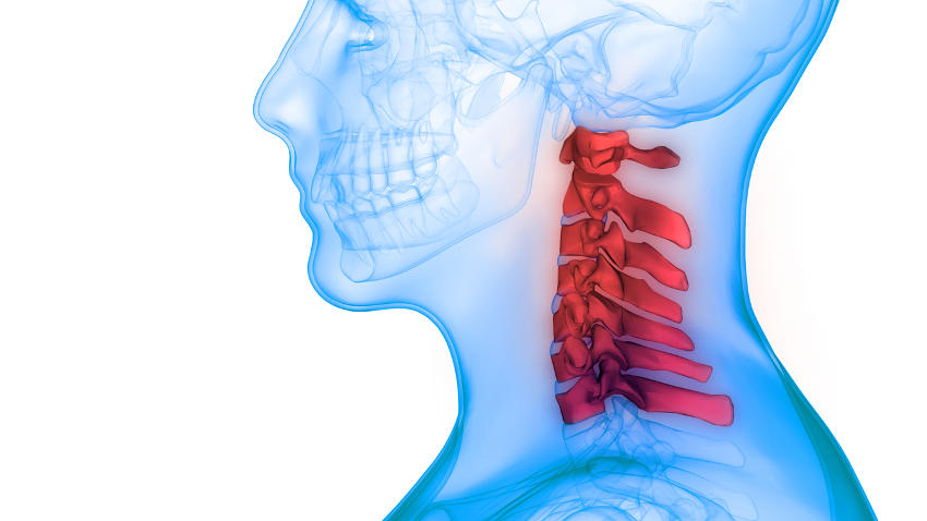 Semplificazione anatomica delle vertebre cervicali