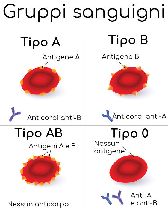 Schema dei gruppi sanguigni e relativi anticorpi
