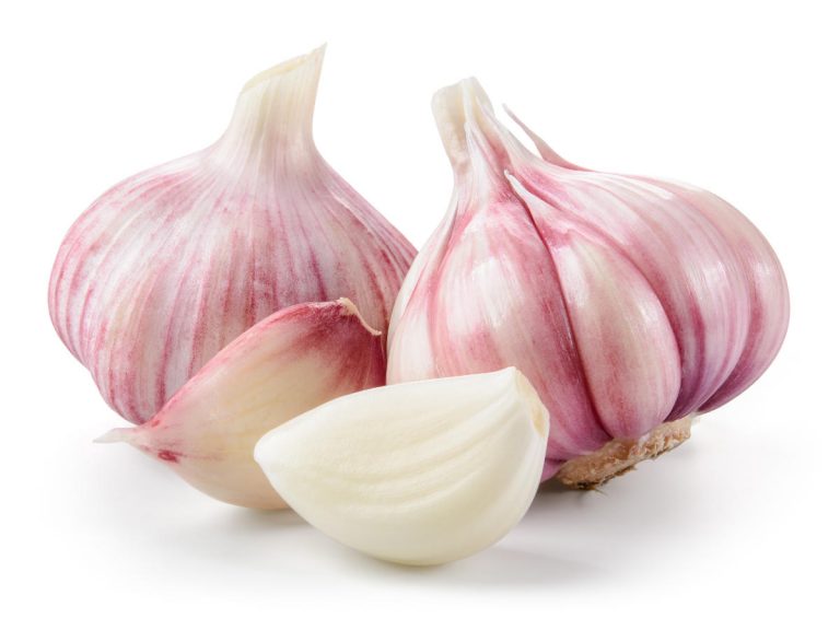 Aglio su sfondo bianco