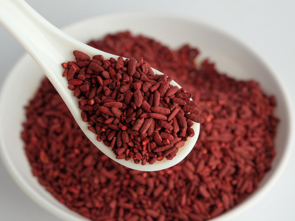Riso rosso fermentato raccolto da un cucchiaio di ceramica bianca