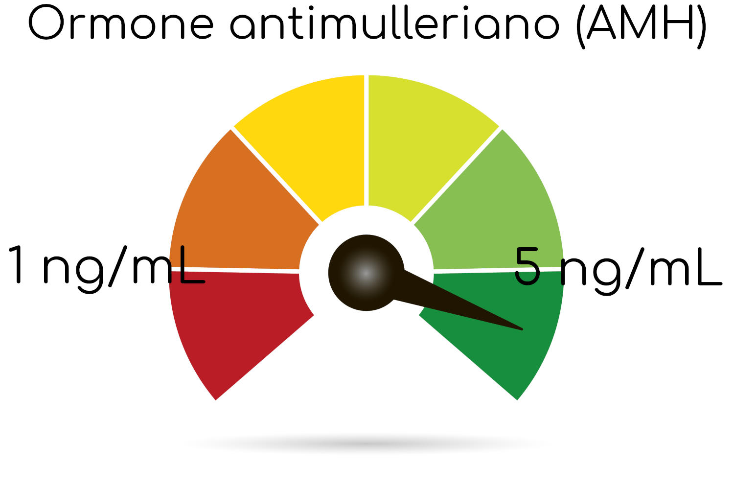 Indicatore a lancetta con i valori normali di AMH
