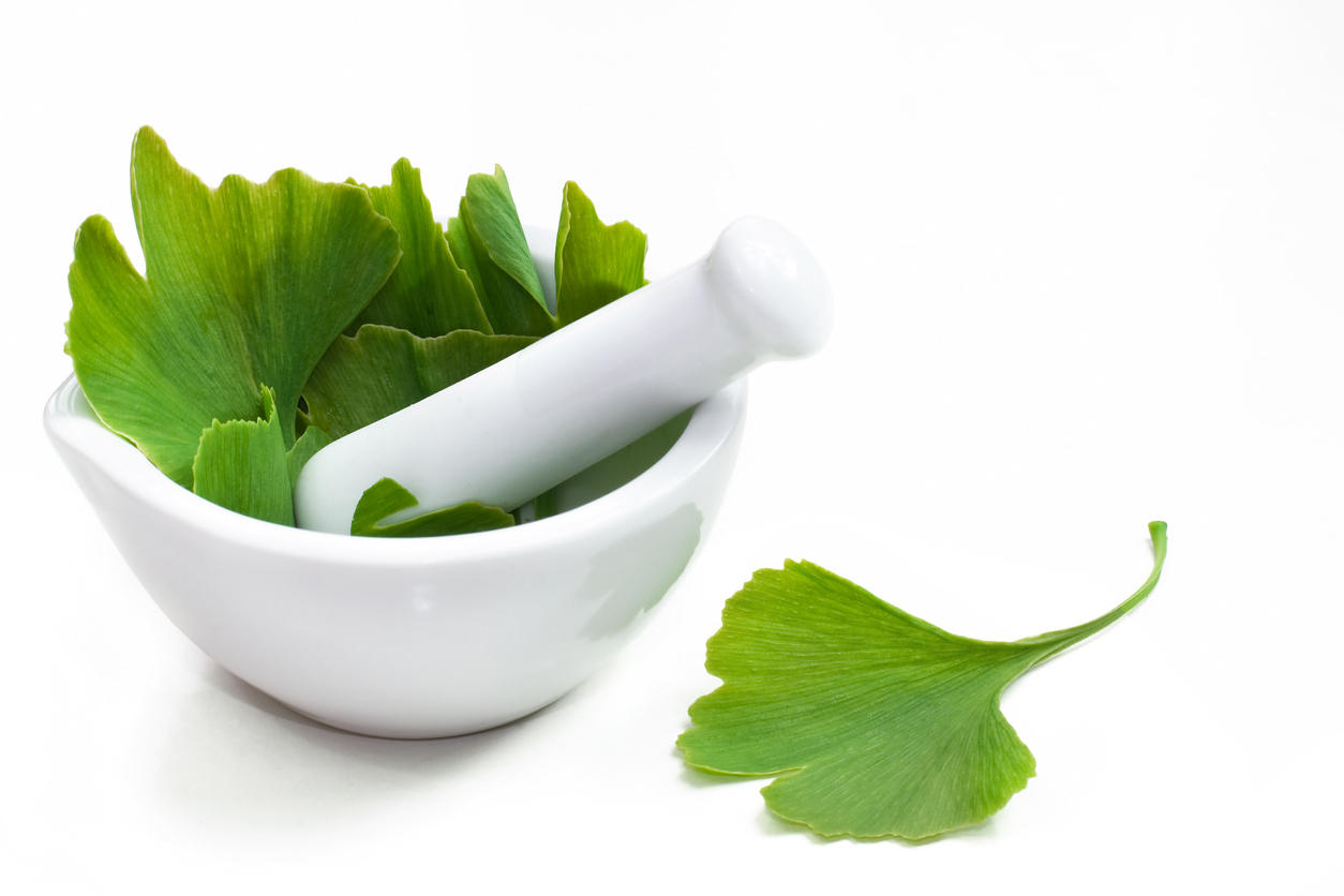 Foglie di Ginkgo Biloba in un mortaio