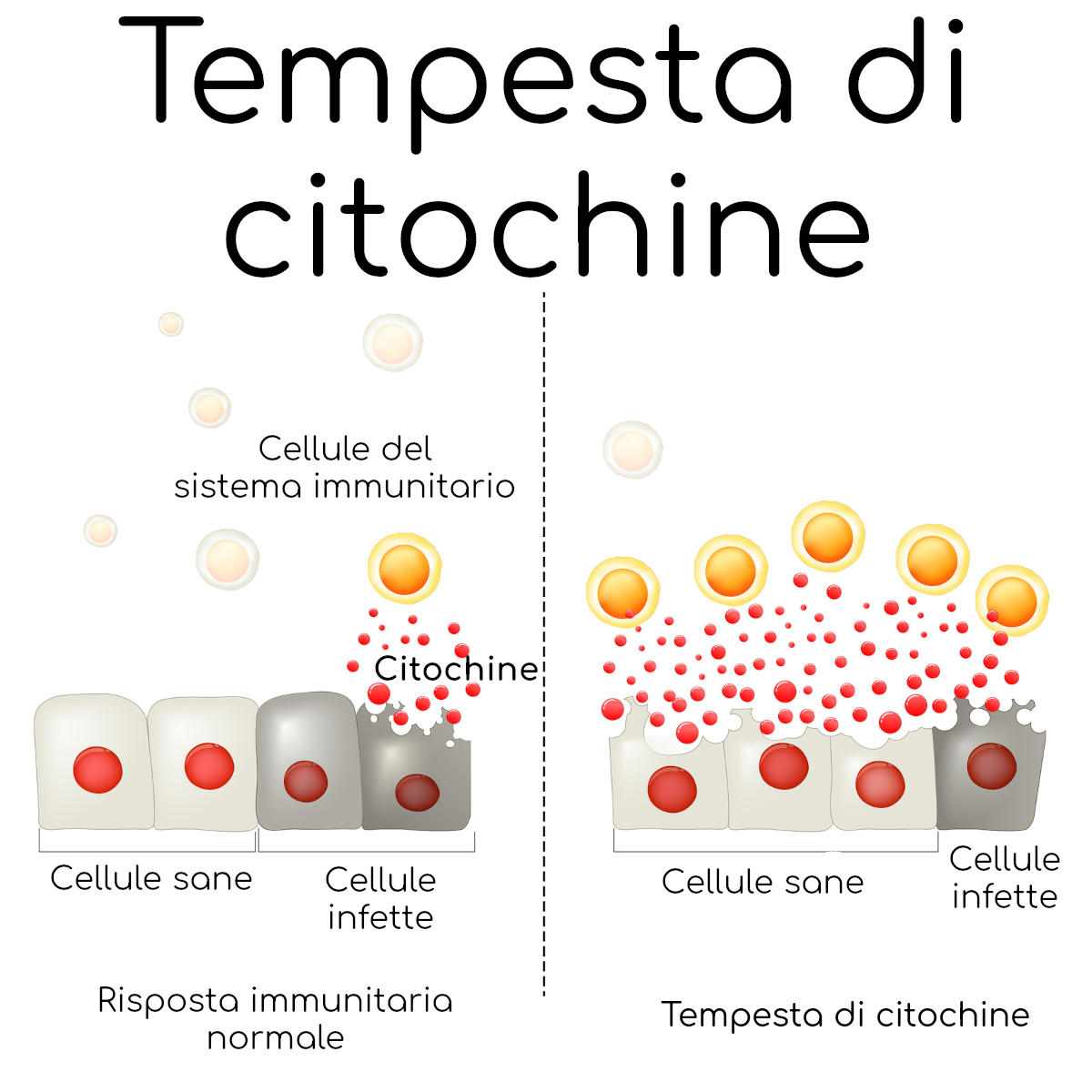 Tempesta di citochine