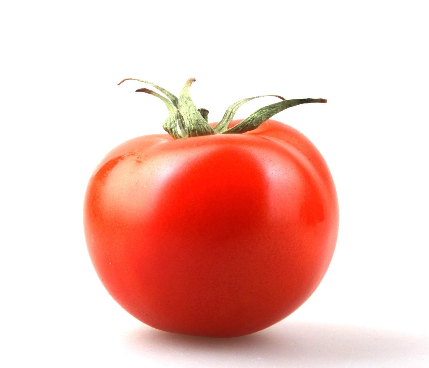 Pomodoro su sfondo bianco