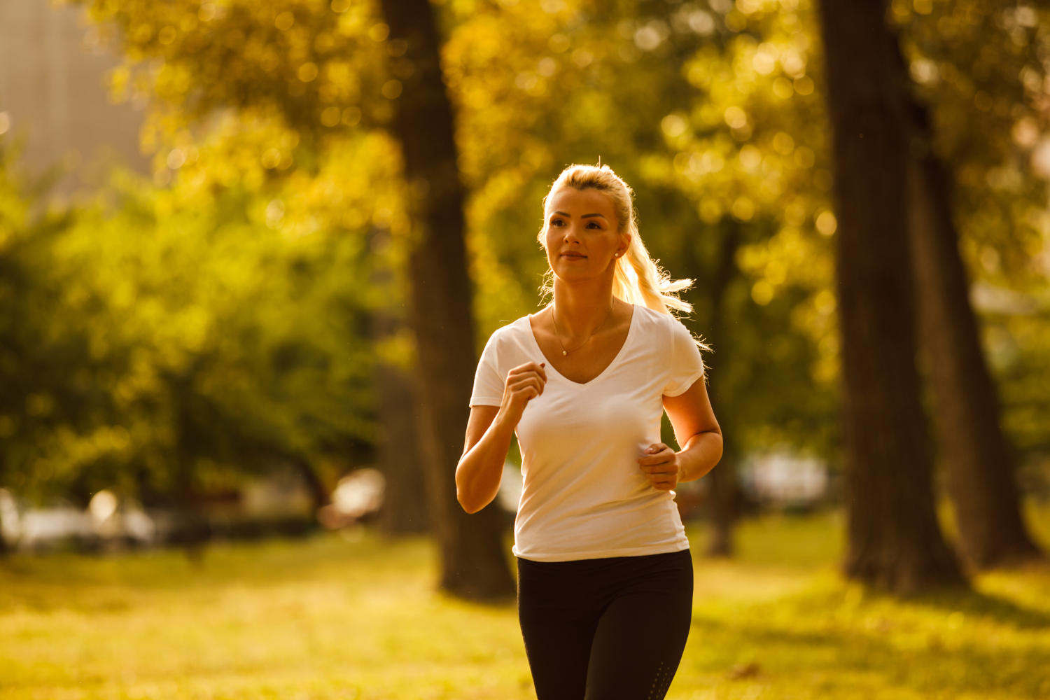 Menopausa precoce