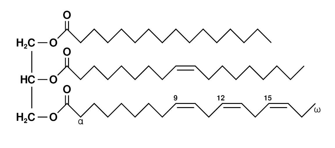 Trigliceride