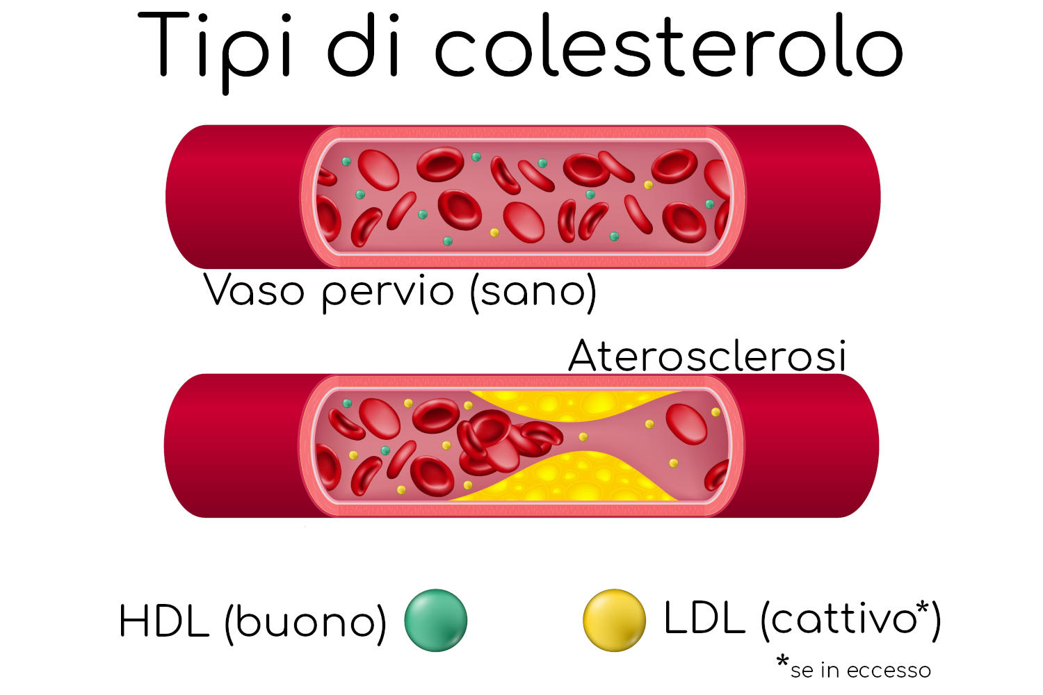 Tipi di colesterolo