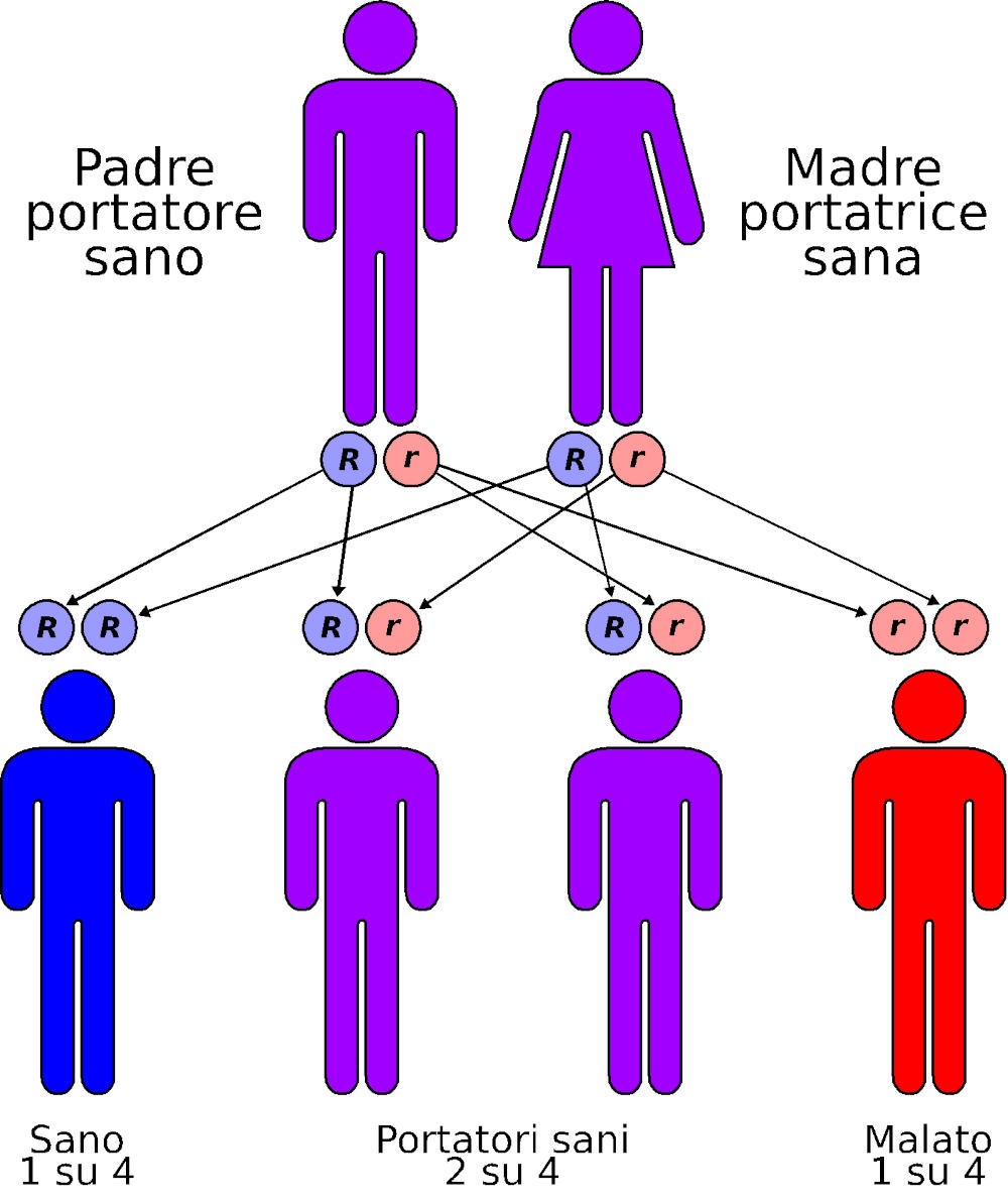 Trasmissione autosomica recessiva