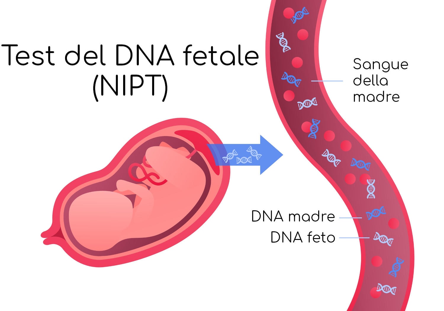 Test del DNA fetale