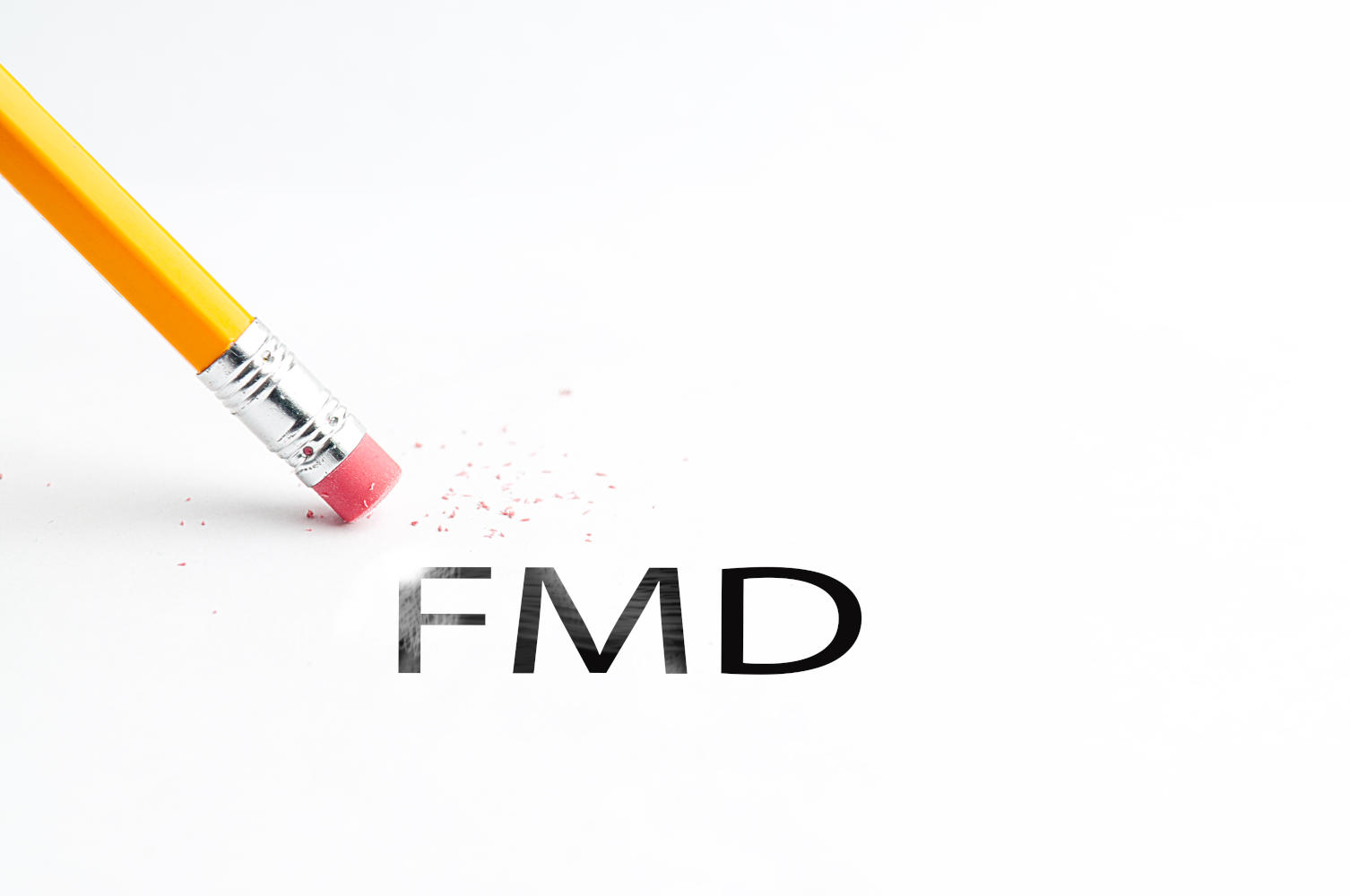 FMD