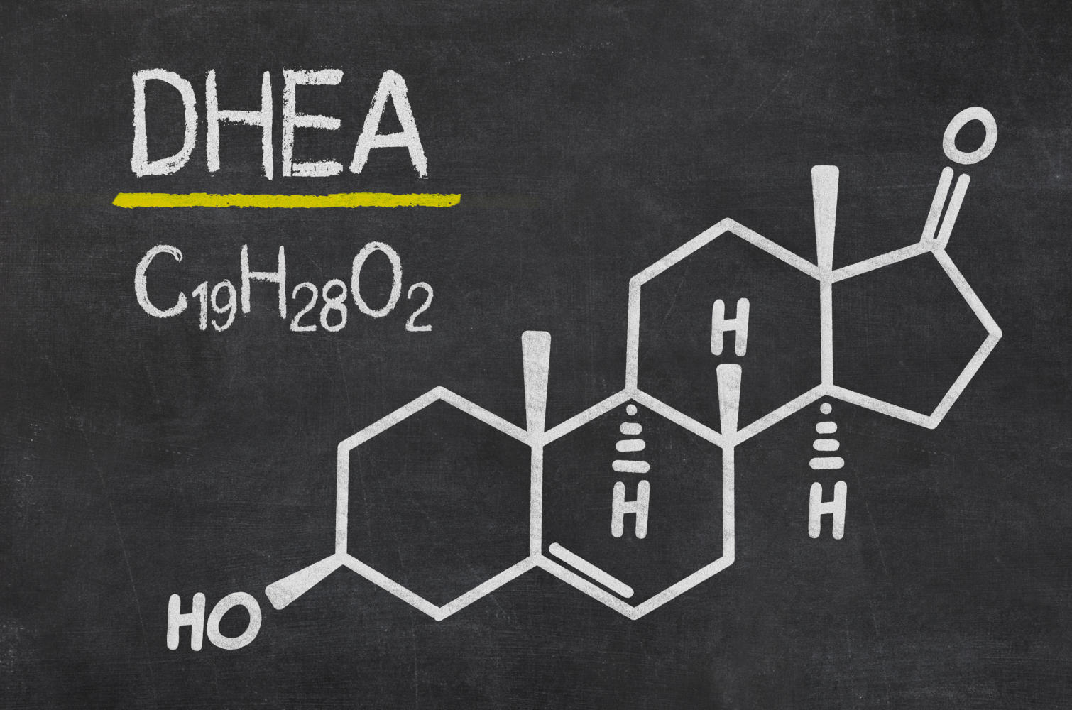 DHEA