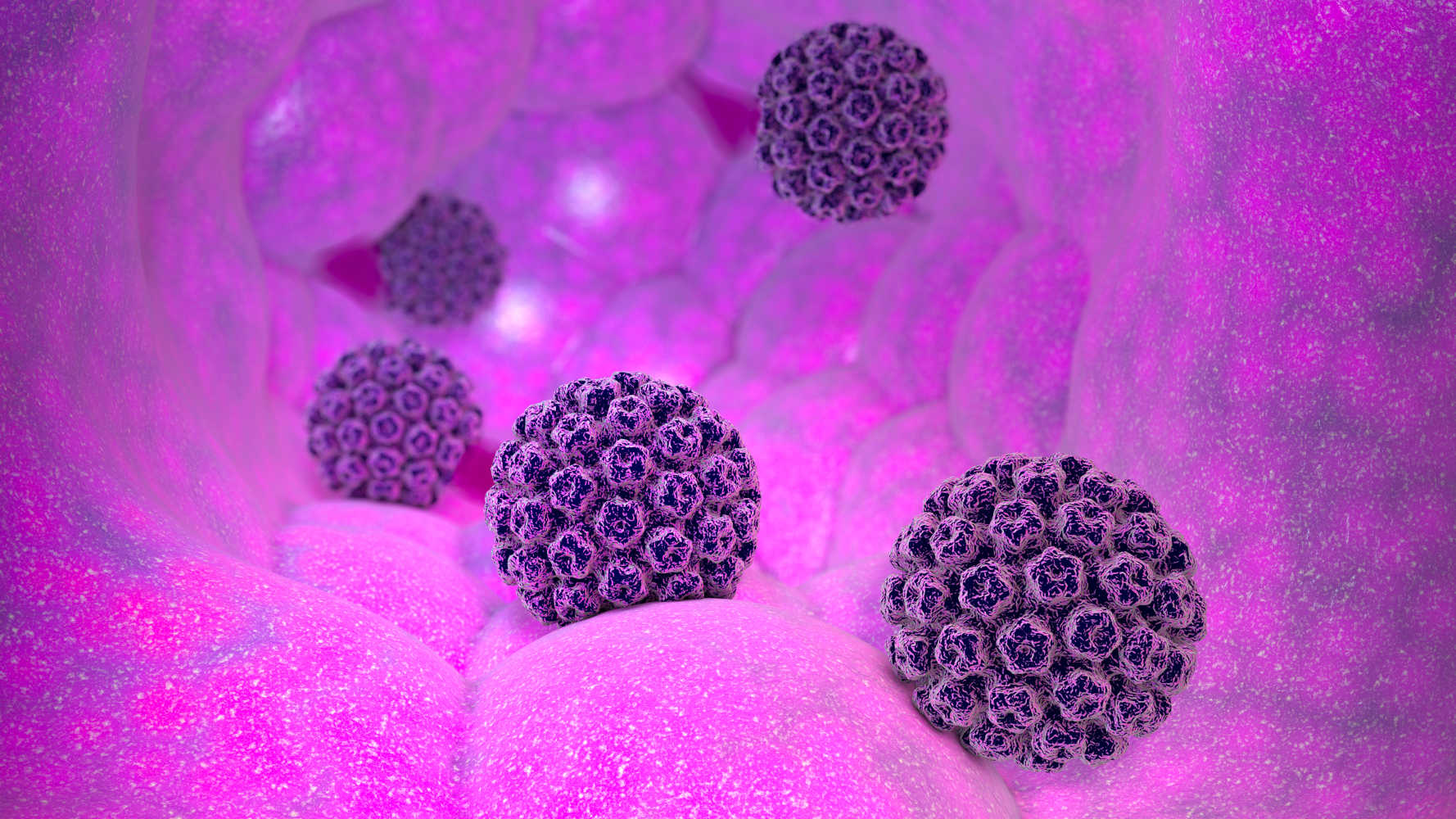 Ricostruzione grafica del virus HPV