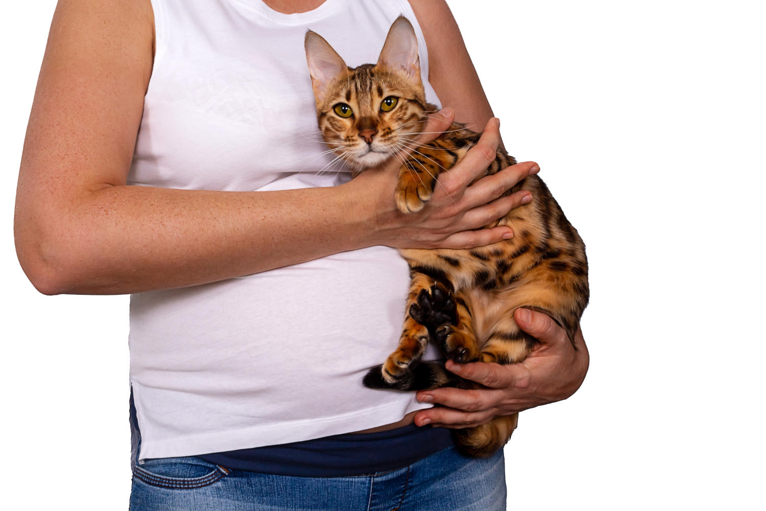 Donna in gravidanza che tiene in braccio un gatto