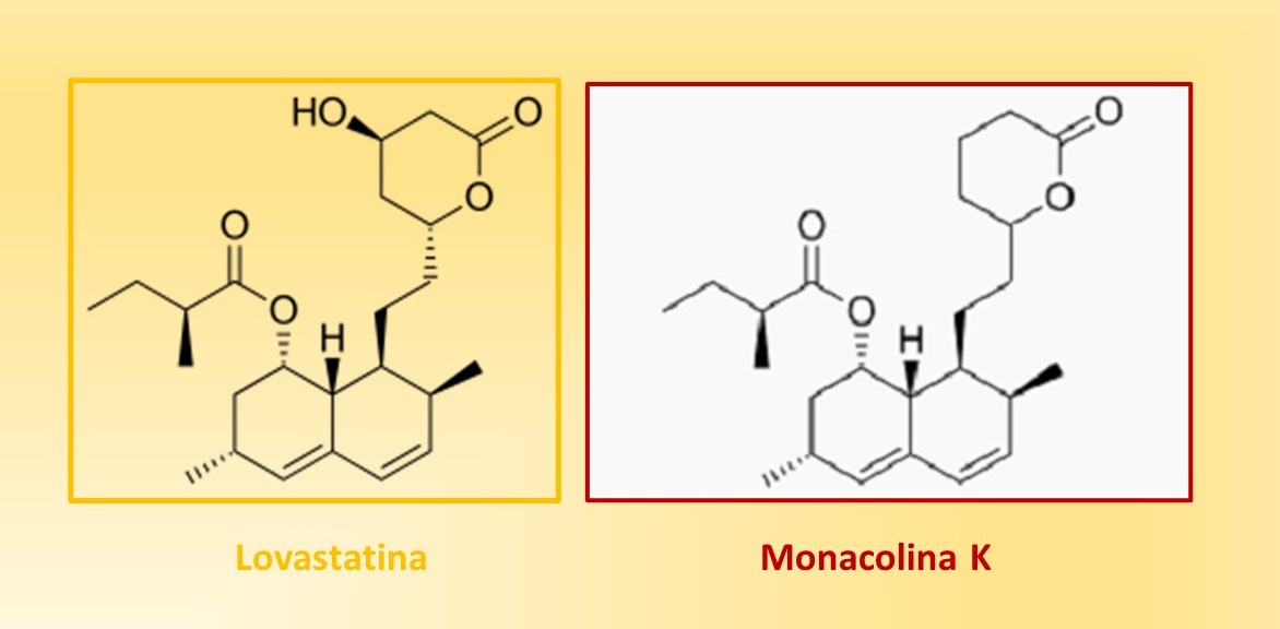 Le due formule chimiche, identiche, di monacolina e lovastatina