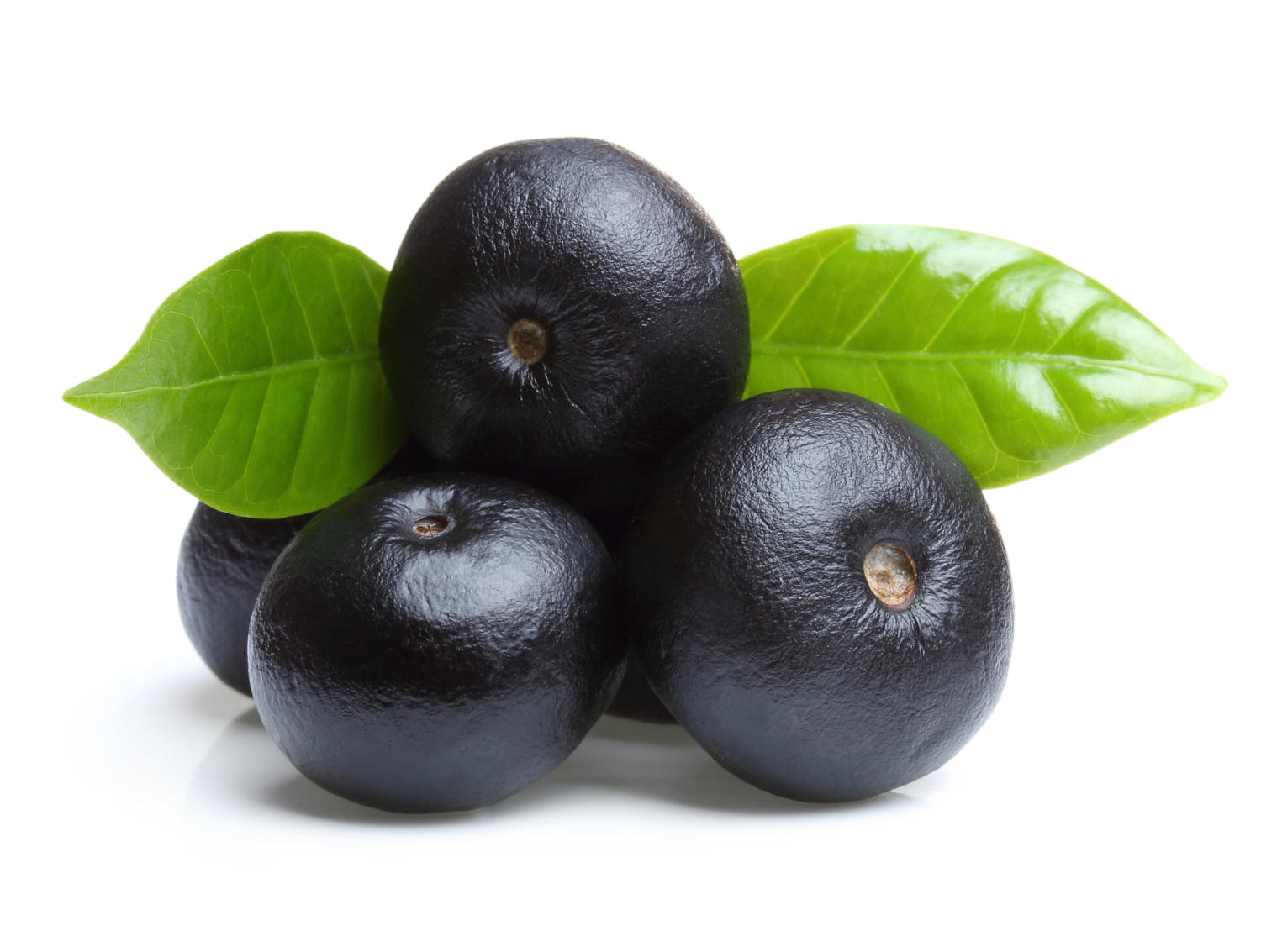Bacche di acai