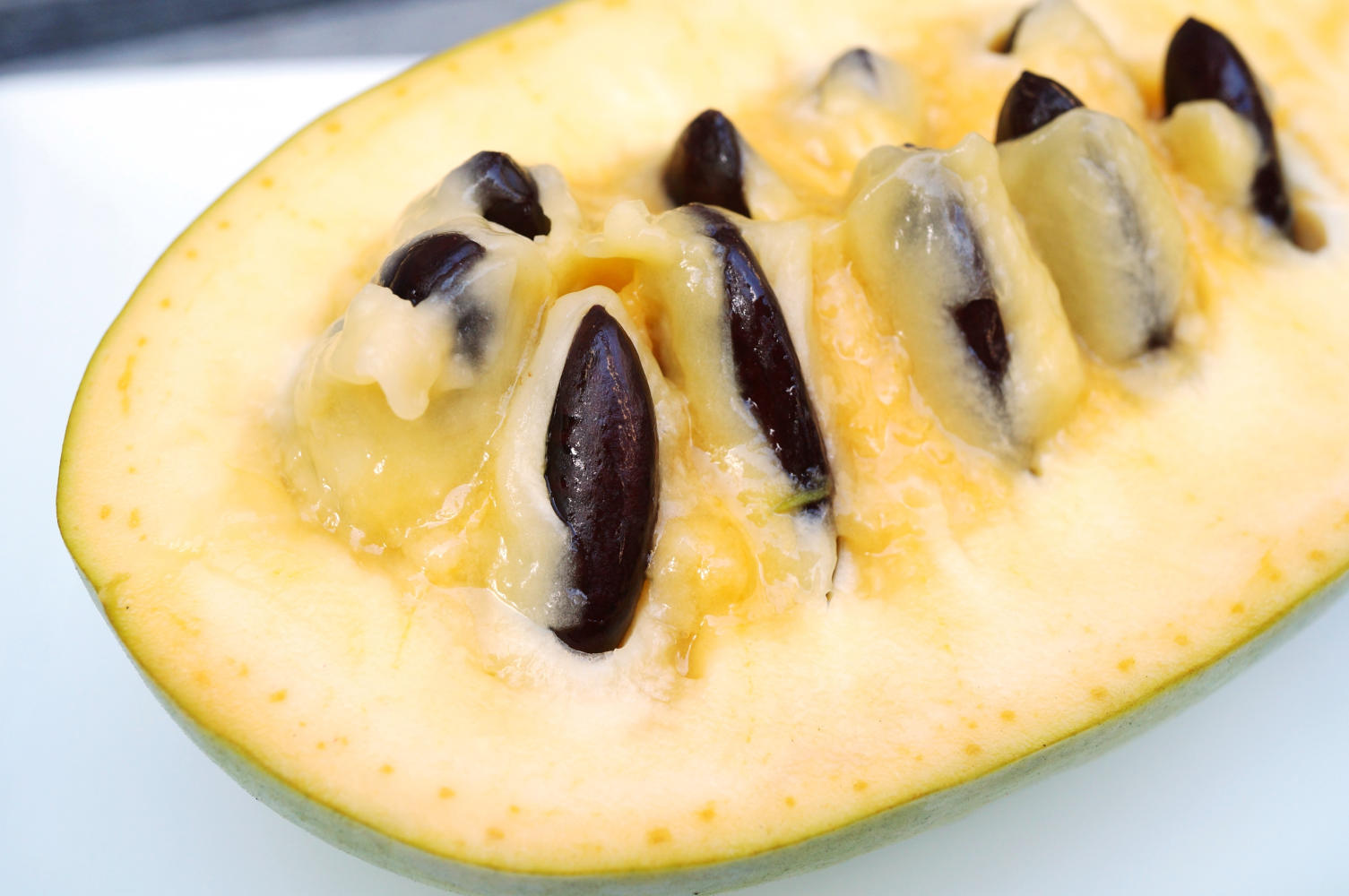 Banano di montagna (asimina triloba) aperto, con polpa gialla e semi grossi