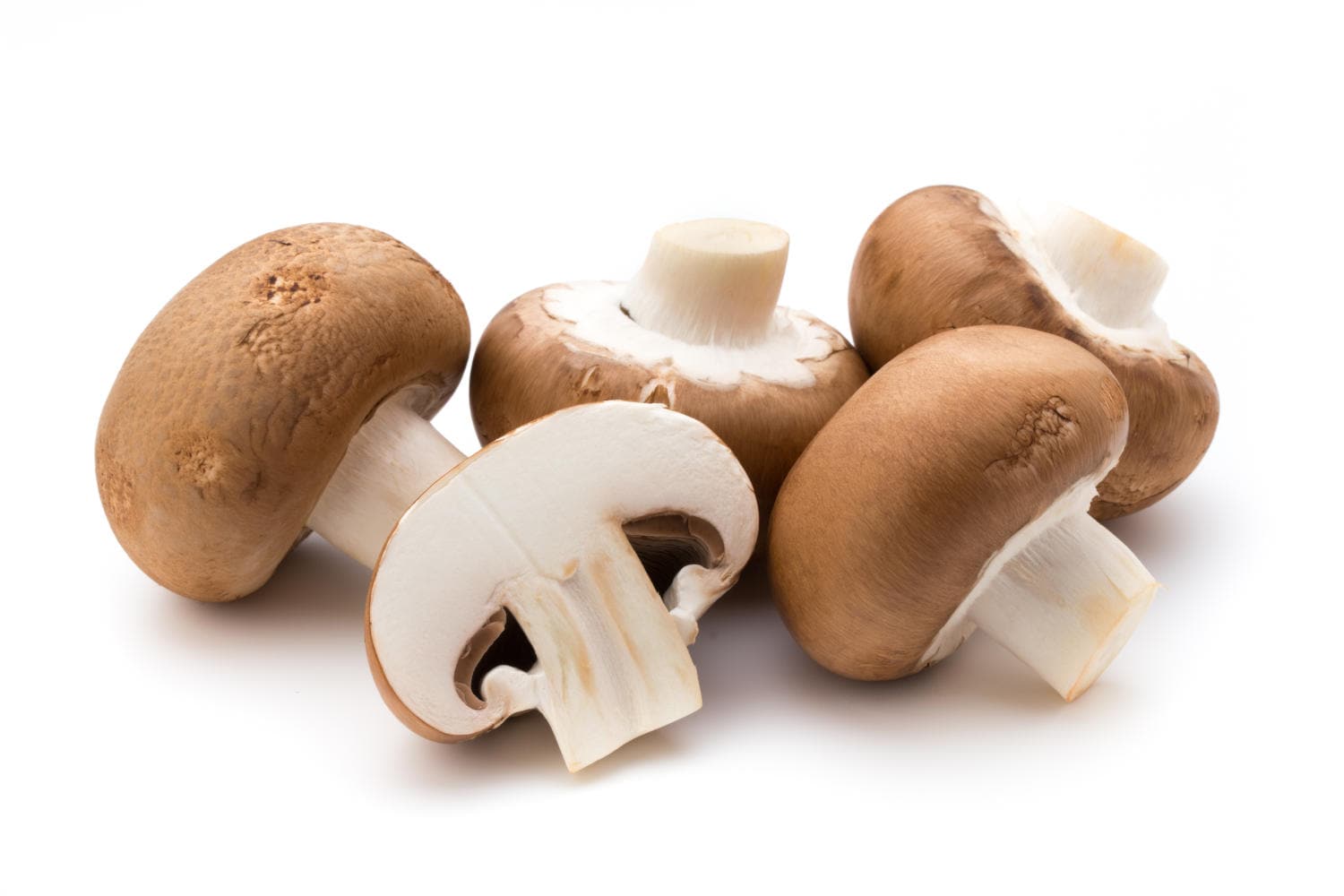 Fughi champignon su sfondo bianco