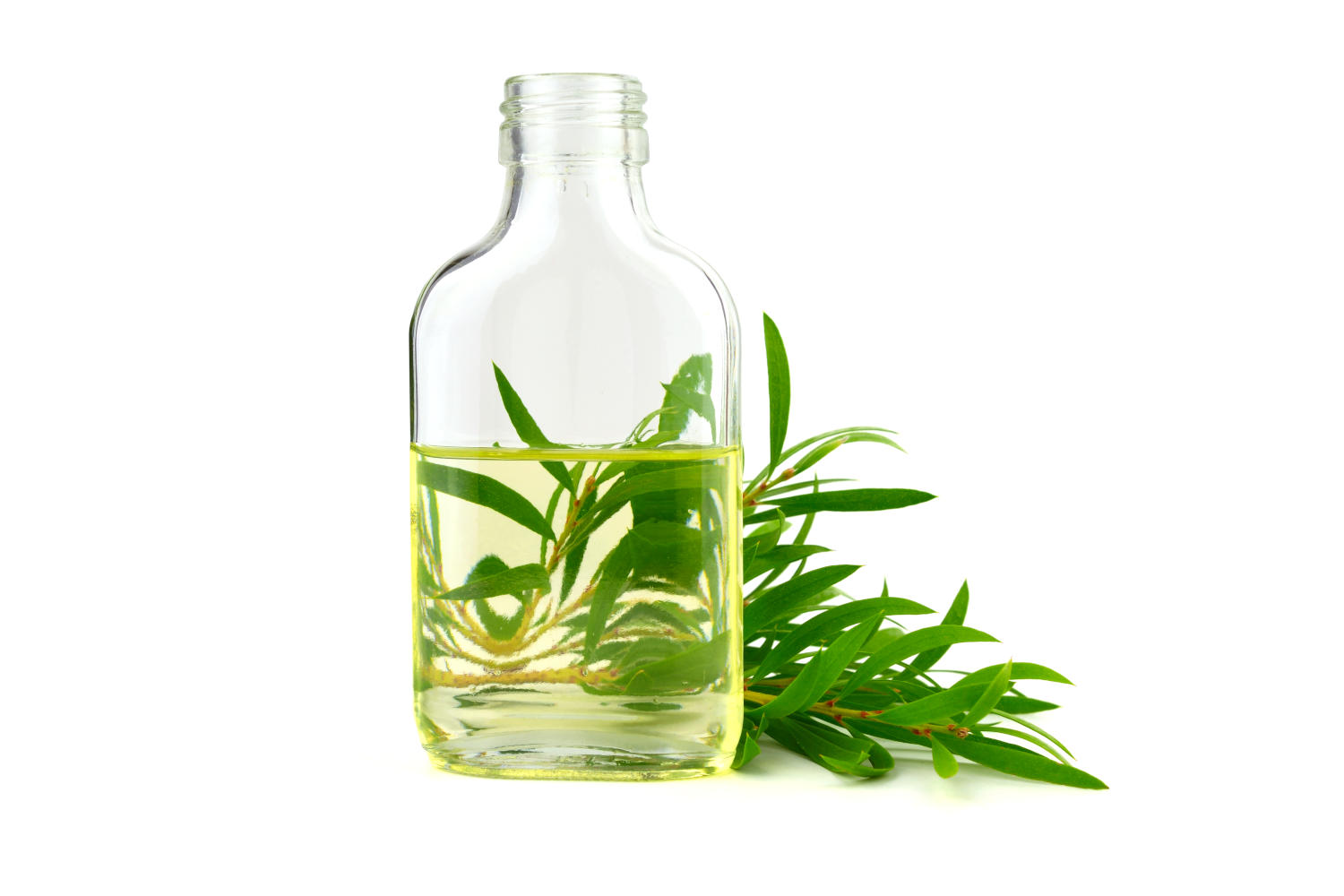 Flacone di olio e sullo sfondo delle foglie di Tea Tree