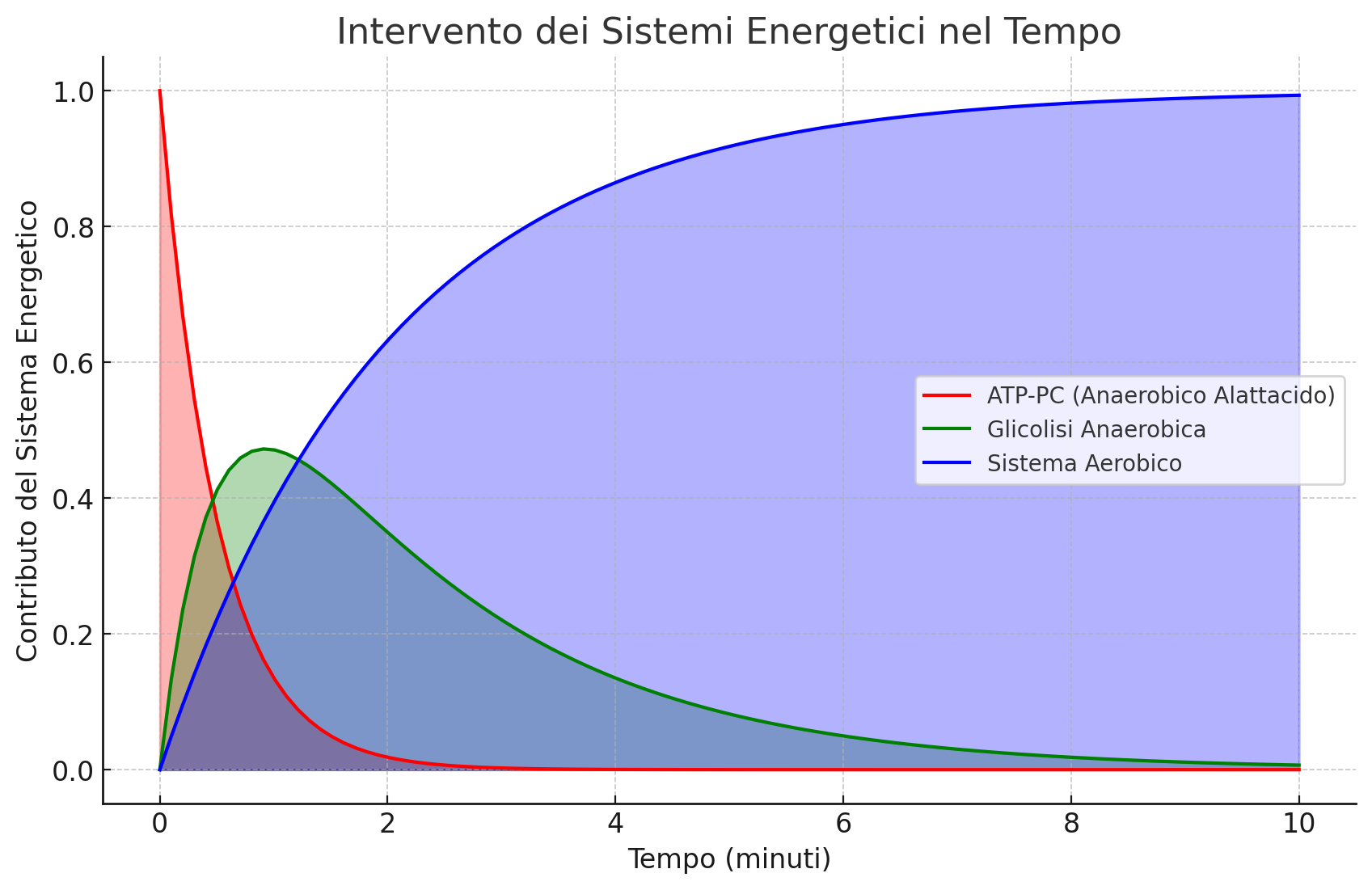 Intervento dei diversi sistemi energetici nel corso del tempo durante l'esercizio fisico