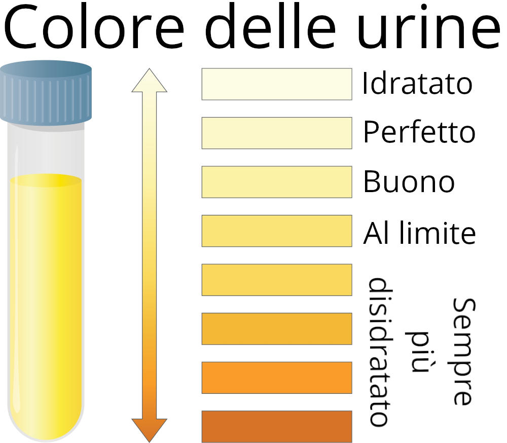 Tabella con il colore delle urine