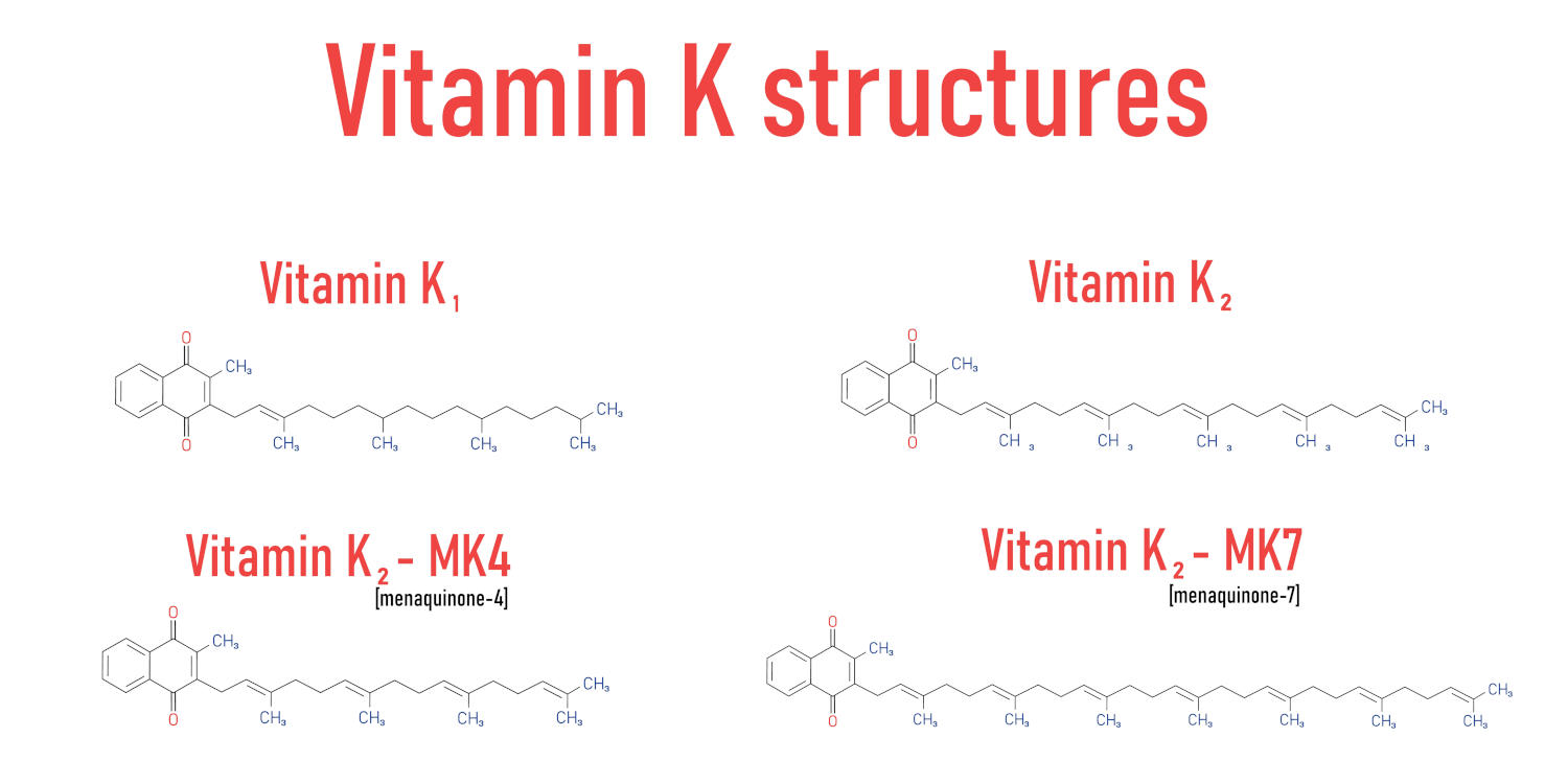 Vitamina K2 MK 7 Davvero Cos Speciale Serve Davvero The Wom Healthy