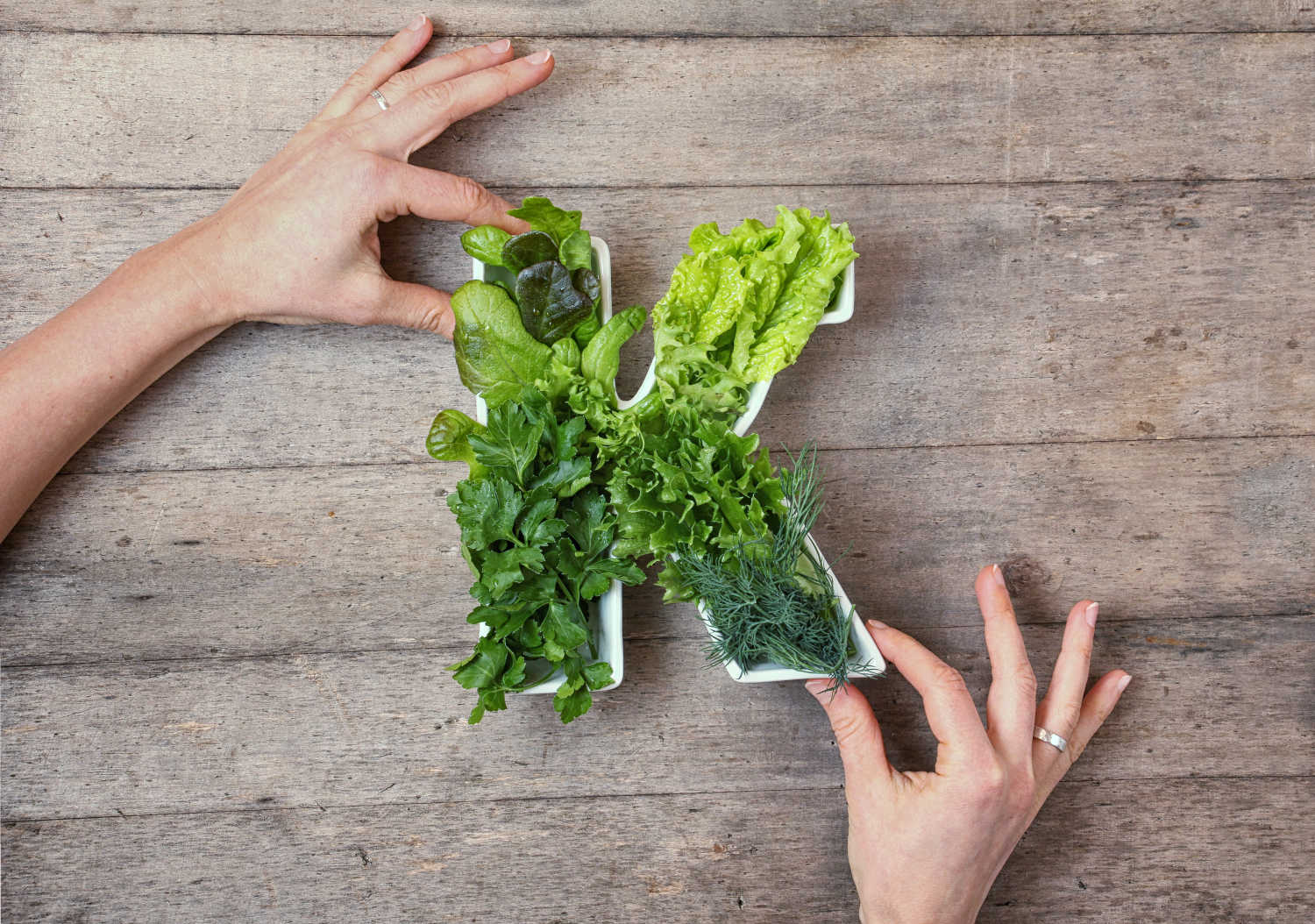 Contenitore a forma K riempito di verdure a foglia verde
