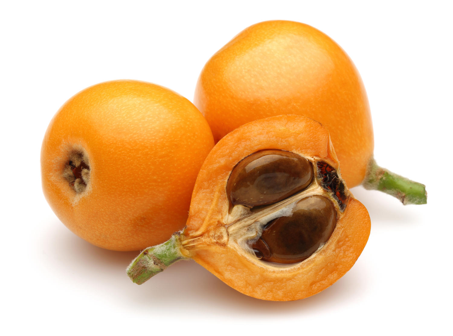 Nespole