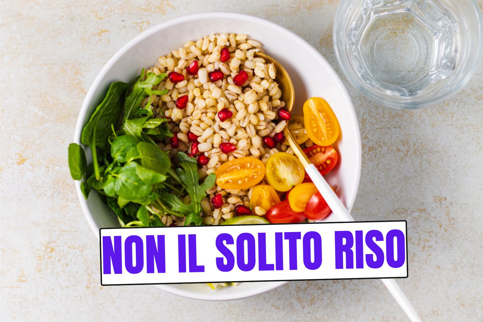 Orzo in insalata fredda con verdure