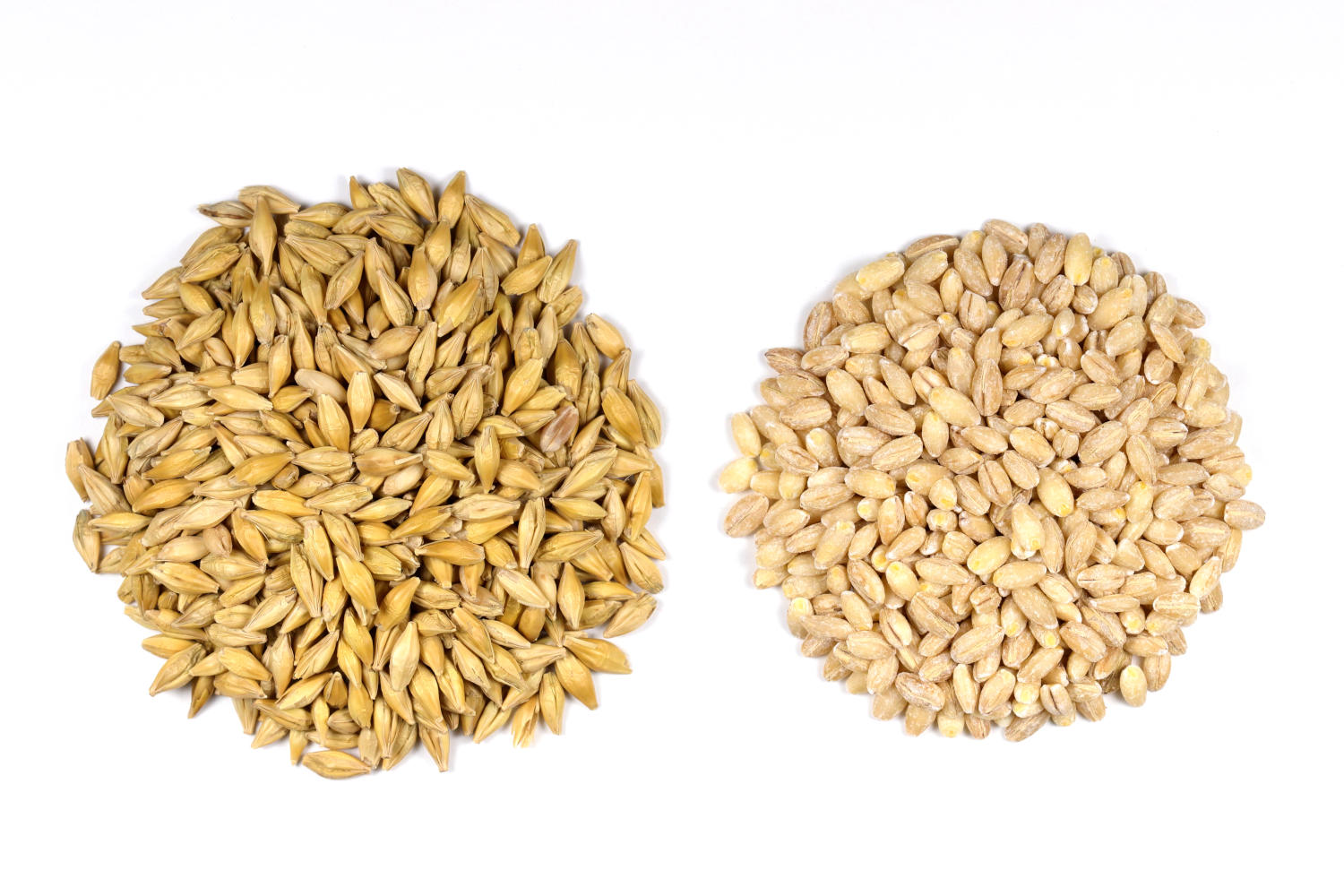 Orzo decorticato e orzo perlato a confronto