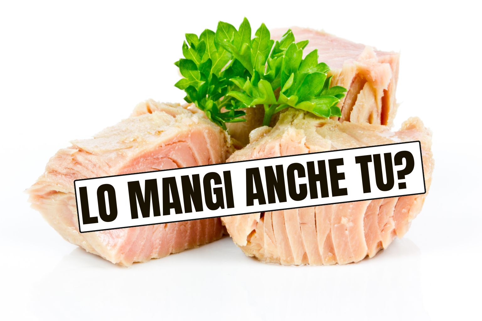 Alcuni bocconi di tonno, e la scritta "Lo mangi anche tu?"