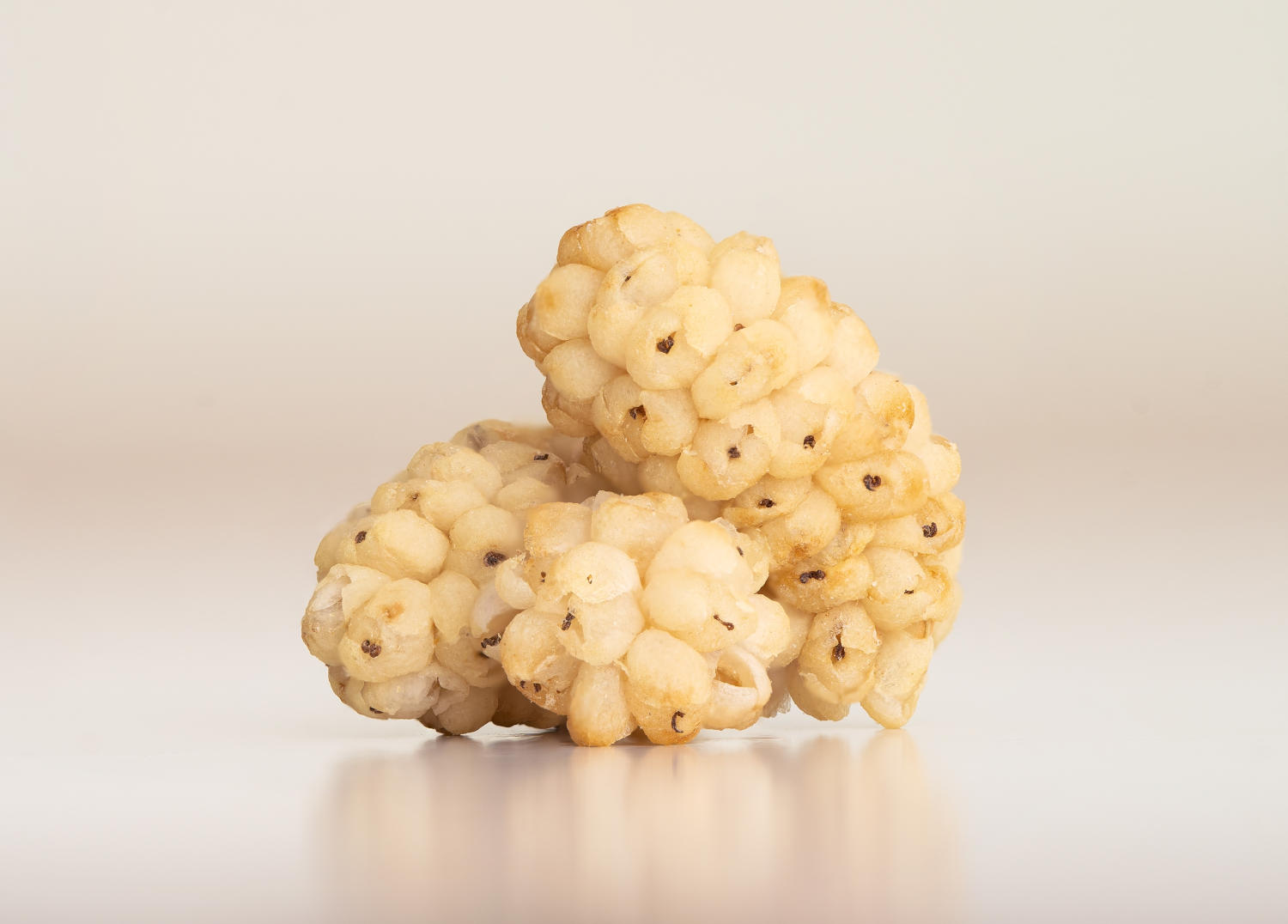 Frutti di gelso bianco essiccati