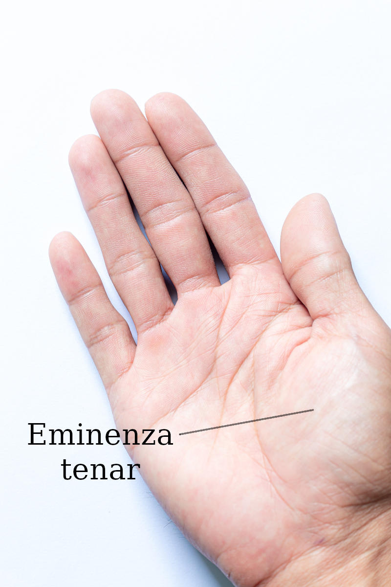Indicazione della posizione dell'eminenza tenar